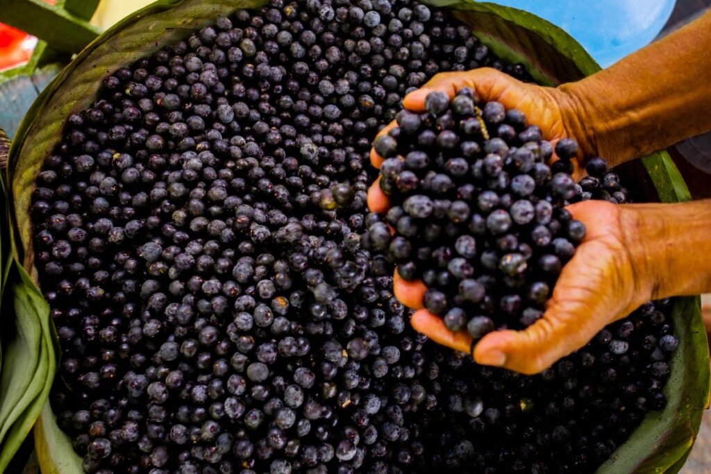 Acai uogų nauda