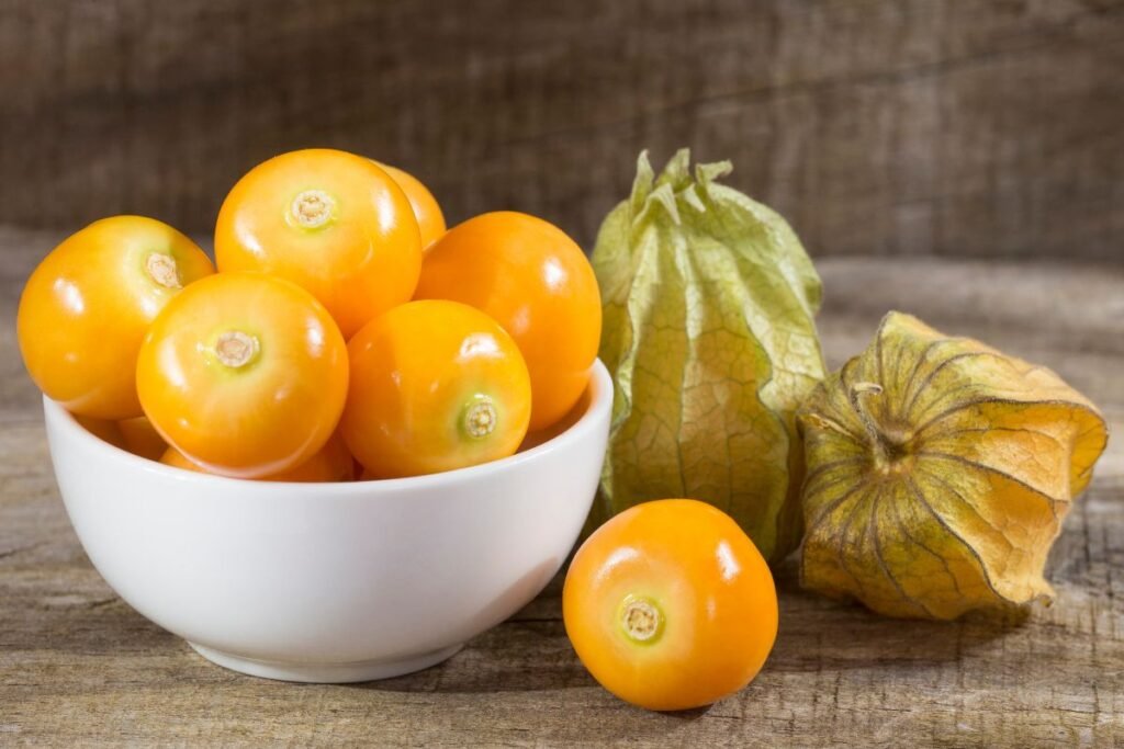 Dumplūnė (Physalis) – aukso uoga