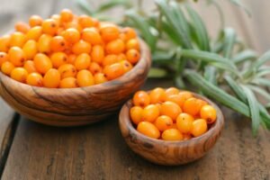 Šaltalankių uogos – vitaminų bomba su 15 kartų daugiau vitamino C nei citrusuose! Kaip šios auksinės uogos keičia žmonių gyvenimus?