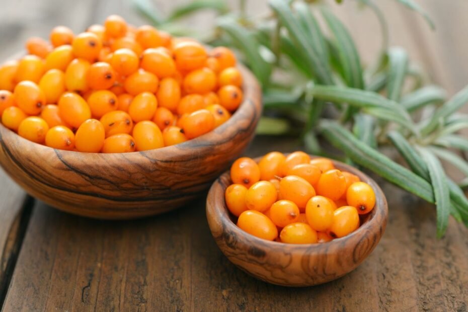 Šaltalankių uogos – vitaminų bomba su 15 kartų daugiau vitamino C nei citrusuose! Kaip šios auksinės uogos keičia žmonių gyvenimus?