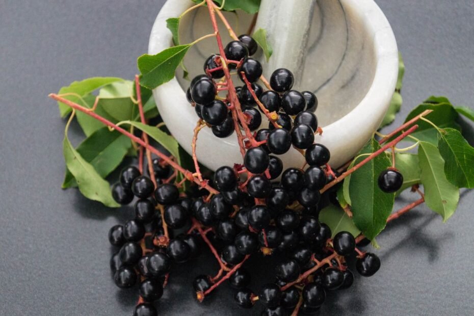 Ievos uogos: nuodingos ar valgomos? O galbūt gydančios?