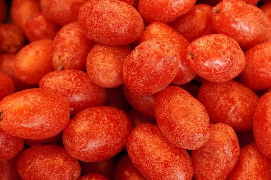 Žilakrūmio uogos: išvaizda ir skonis