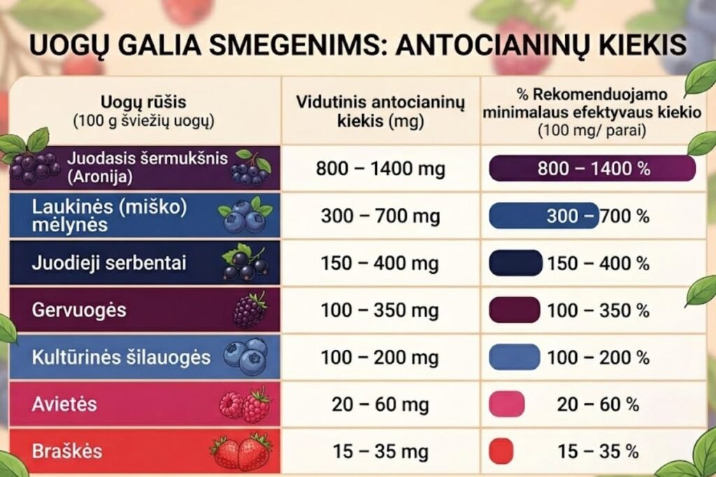 Uogos ir smegenų jaunystė: kiek antocianinų yra uogose?
