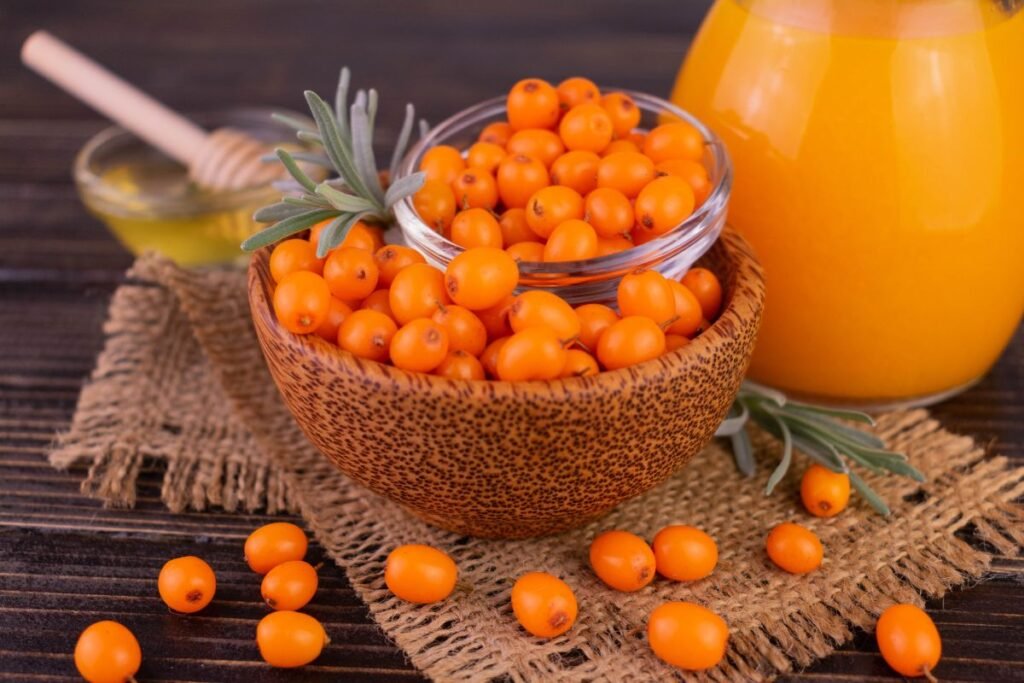 Šaltalankiai – absoliutūs vitamino C rekordininkai